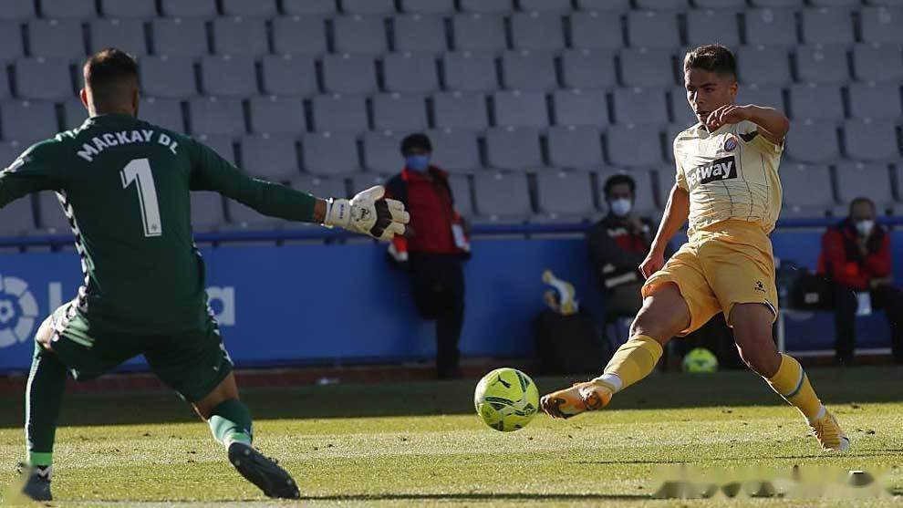 荷甲直播在线观看高清-九游官网入口活动